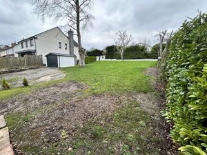 Photo 42- click for photo gallery